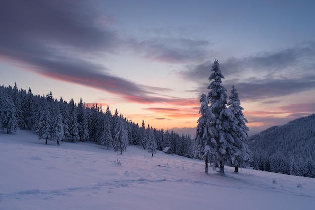 Paysage de Noël avec sapin dans la neige et maison à la montagne