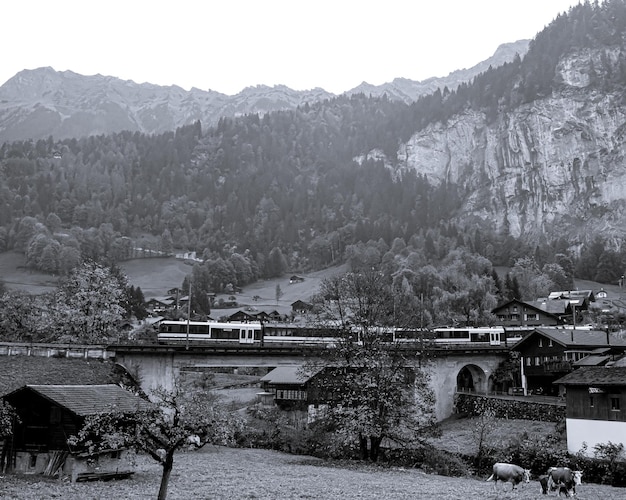 Paysage noir et blanc de la vallée de Lauterbrunnen avec train suisse à Wengen, Suisse.