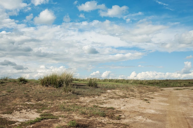 Paysage des nuages au-dessus du jour ensoleillé de steppe