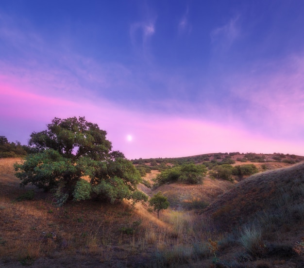 Paysage De Nuit Coloré Avec Arbre Vert Sur La Colline