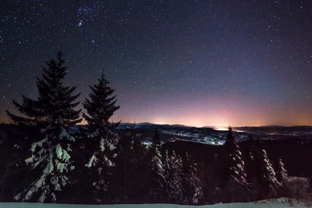 Paysage de nuit envoûtant sapins enneigés