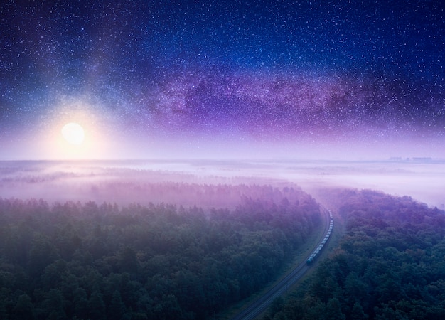 Paysage de nuit d'été, chemin de fer à travers la forêt. Ciel étoilé.