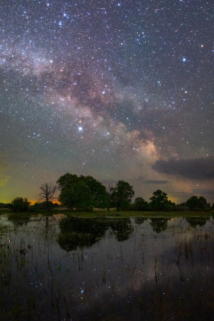 Paysage de nuit étoilée