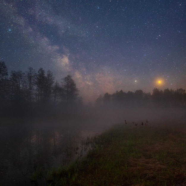 Photo paysage de nuit étoilée