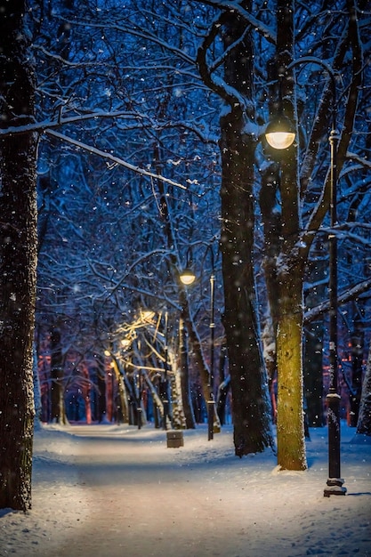 Paysage de nuit d'hiver, chemin sous les arbres d'hiver et réverbères brillants avec des flocons de neige tombant