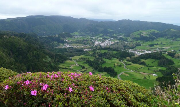 le paysage panoramique des Açores