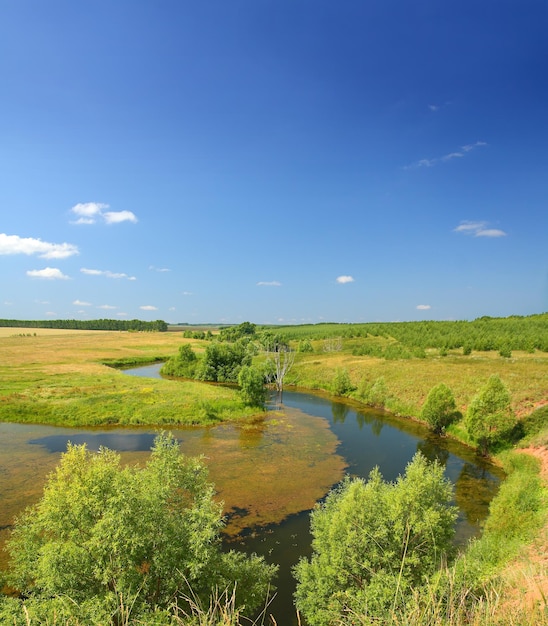 Paysage panoramique avec étang