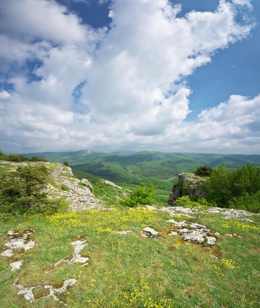 Paysage panoramique de la nature montagneuse