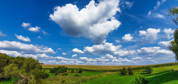 Paysage panoramique de prairie verte et ciel bleu avec des nuages