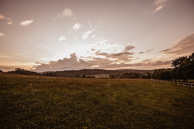 Photo le paysage panoramique