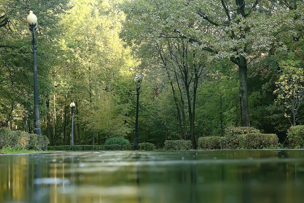 paysage de parc d'été / vue saisonnière, arbres verts en été, promenade nature concept, écologie, éco