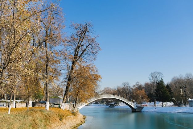 Paysage d'un parc avec un lac en hiver