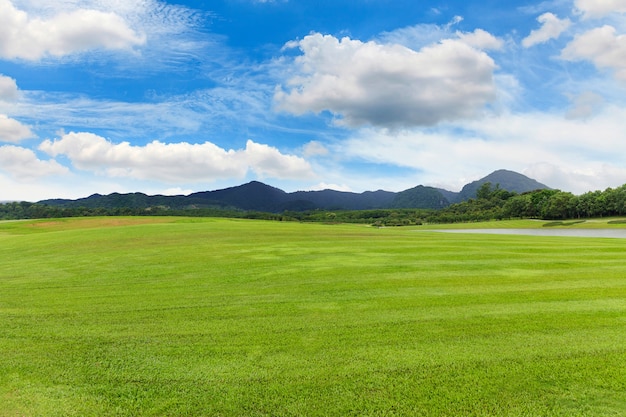 Paysage de pelouse verte dans un beau jardin