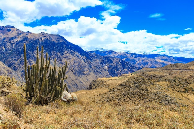 Paysage Pérou