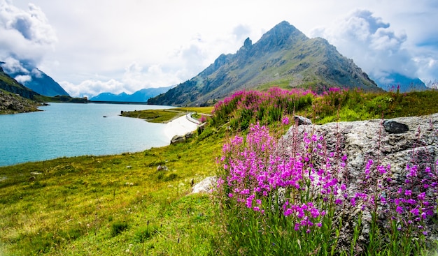 Paysage pittoresque des Alpes