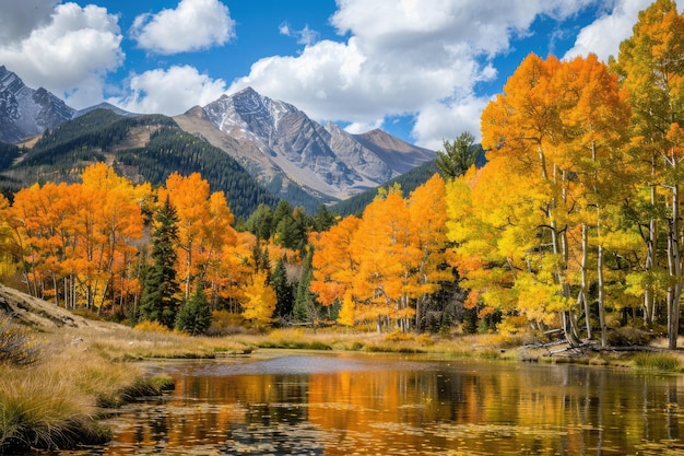 Un paysage pittoresque aux couleurs vives de l'automne