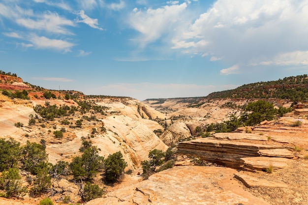 Paysage pittoresque de canyon profond, de rochers et de montagnes