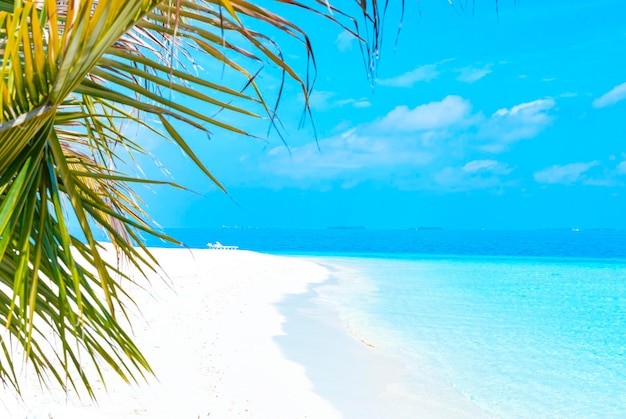 Paysage pittoresque dans la mer bleue de sable blanc des Maldives et palmiers