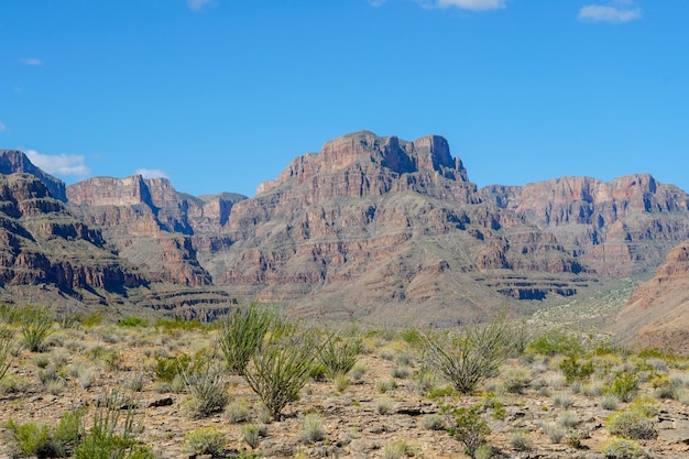 Paysage pittoresque du Parc National du Grand Canyon au cours de journée ensoleillée Arizona USA