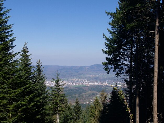 un paysage pittoresque de la Forêt Noire, Allemagne