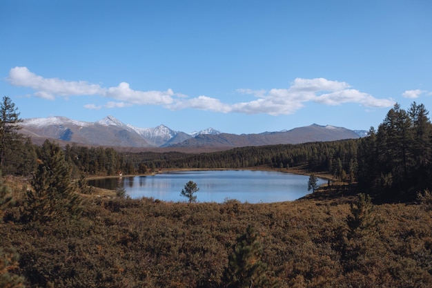 Un paysage pittoresque d'une forêt verte avec un ruisseau azur sur fond de montagne sous un ciel bleu avec plusieurs nuages