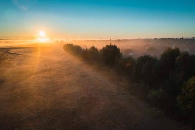 Photo paysage pittoresque le matin d'automne avec des arbres de brouillard et le soleil à l'horizon