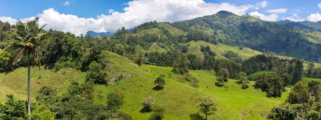 Paysage pittoresque et montagne dans la campagne du Salento Colombie