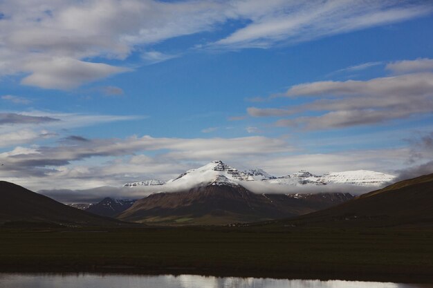 Paysage pittoresque avec une nature verdoyante en Islande pendant l'été.