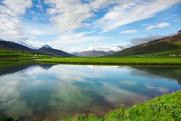 Paysage pittoresque avec une nature verdoyante en Islande pendant l'été.