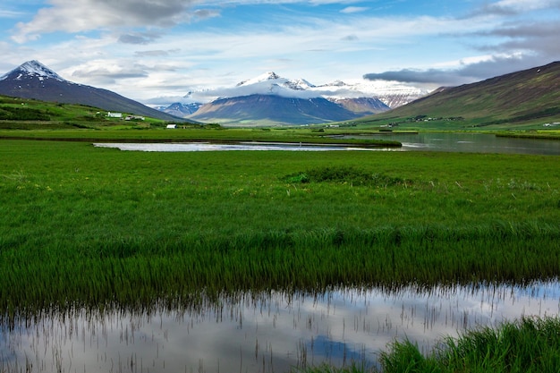 Paysage pittoresque avec une nature verdoyante en Islande pendant l'été.