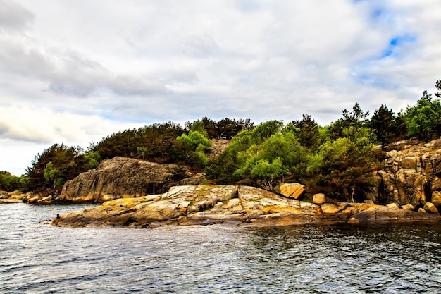 Le paysage pittoresque : rochers, arbres et mer