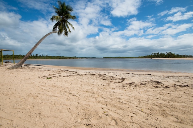 Paysage avec plage de cocotiers sur l'île de Boipeba Bahia au Brésil.