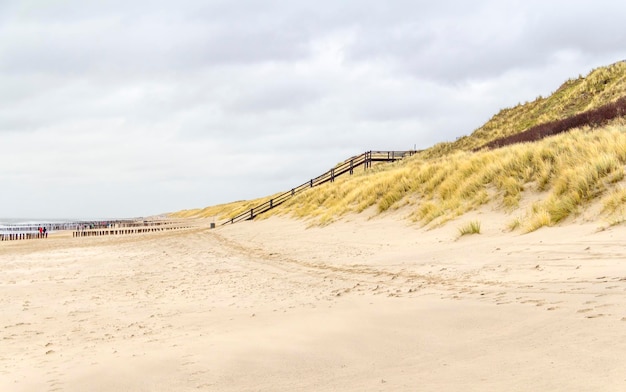 paysage de plage côtière