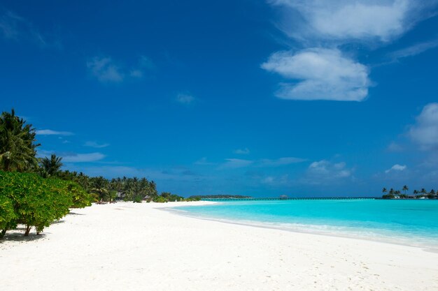 Paysage de plage et de mer tropicale