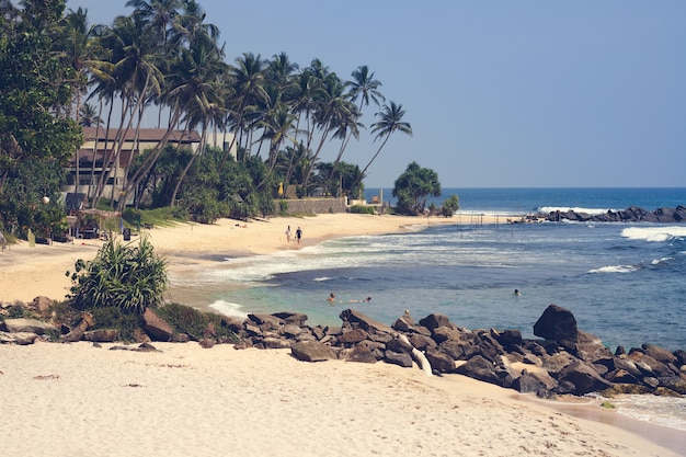 Le paysage Plage sur l'océan Beau paysage Océan et palmiers