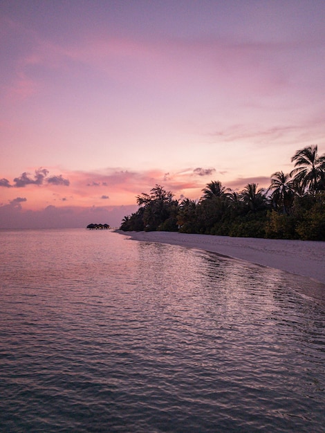 Paysage de plage paradisiaque de l'île tropicale, silhouette de palmier avec eau de mer calme. Rivage exotique
