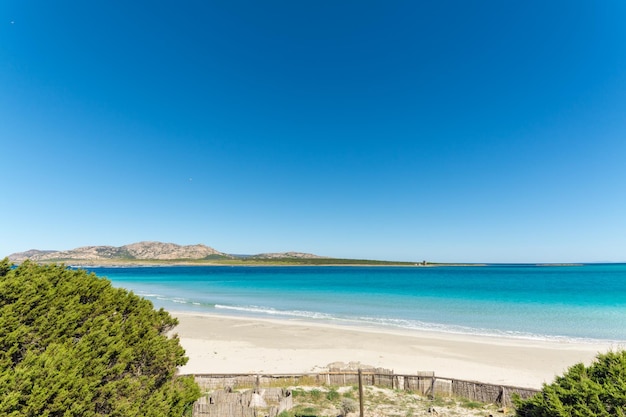 Paysage de la plage de La Pelosa dans une journée ensoleillée