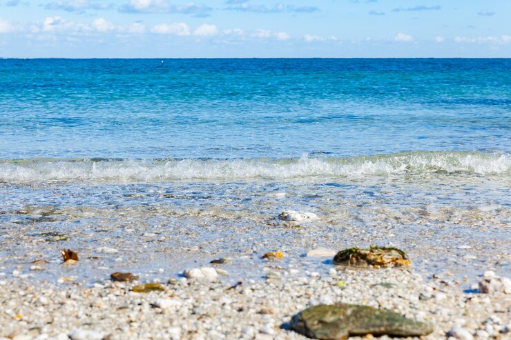 Photo paysage de plage rocheux falaises rivages à belle ile en mer à la pointe des poulains dans le morbihan