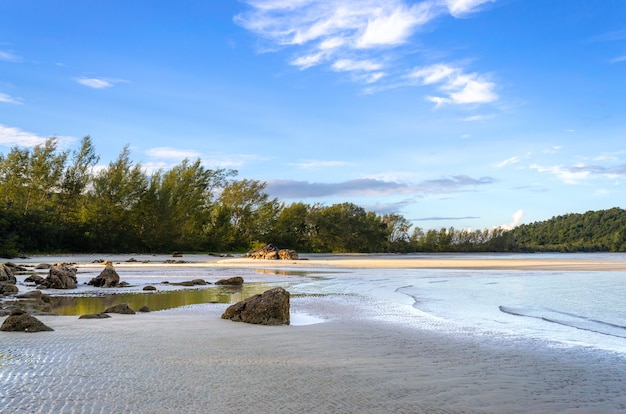 Paysage de plage tropicale le matin.