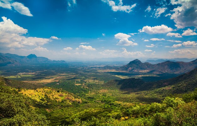 Paysage des plantations de thé en Inde, Kerala Munnar.