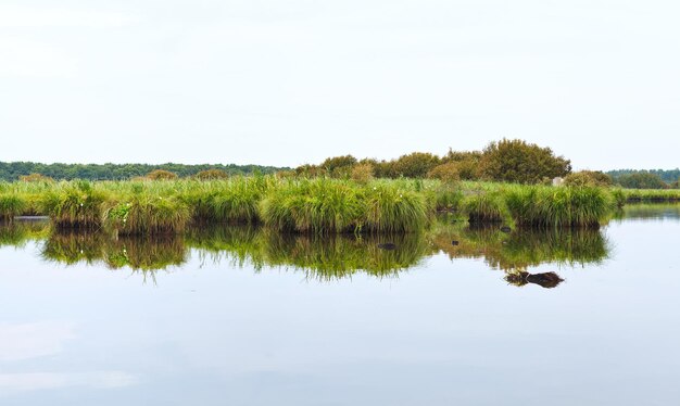 Photo paysage plat du marais de brière france