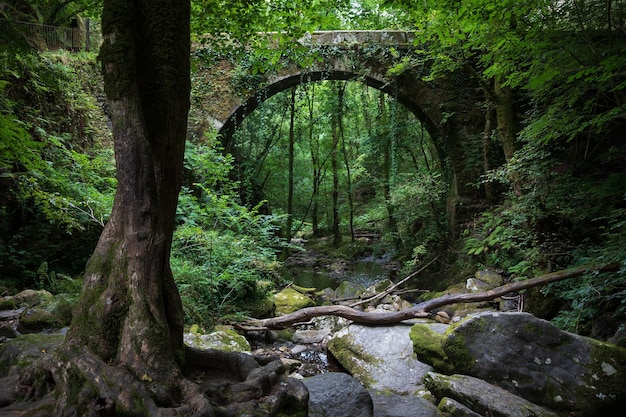 Paysage plein de végétation avec un vieux pont dans le parc naturel Fragas do Eume Galice Espagne