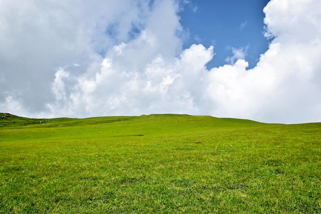 Paysage de prairie au Pakistan