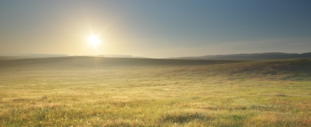 Paysage de prairie nature matin