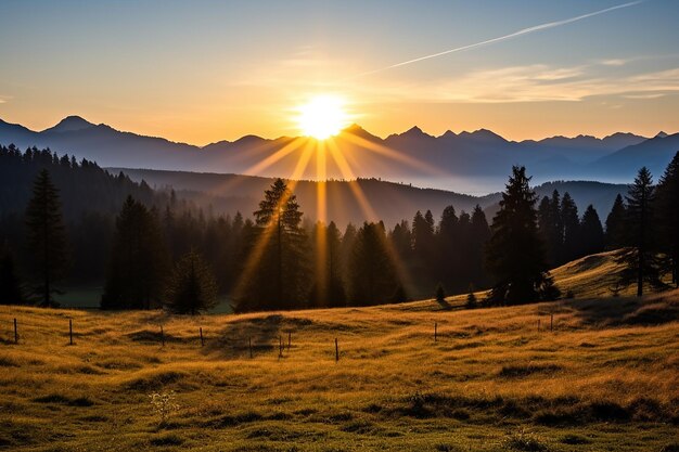 Paysage de prairie paisible sous le soleil du soir papier peint d'arrière-plan de l'heure d'or