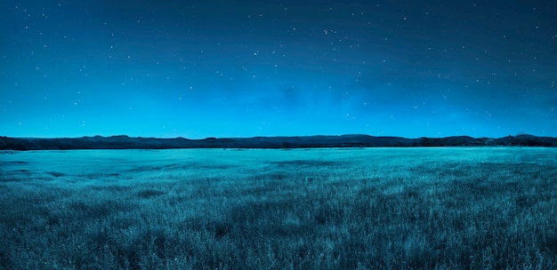 Photo paysage de prairie pendant la nuit