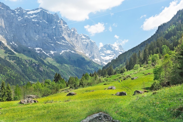 Paysage de prairies et de montagnes dans les Alpes Suisse