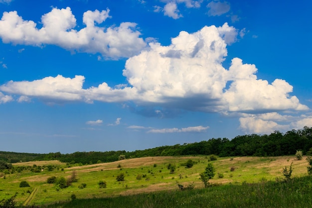 Paysage de printemps avec des champs de prairies d'arbres verts et un ciel bleu