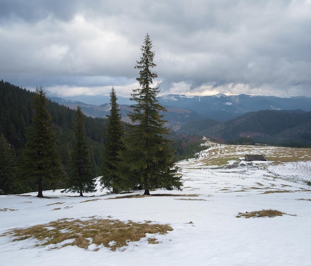 Paysage de printemps dans les montagnes