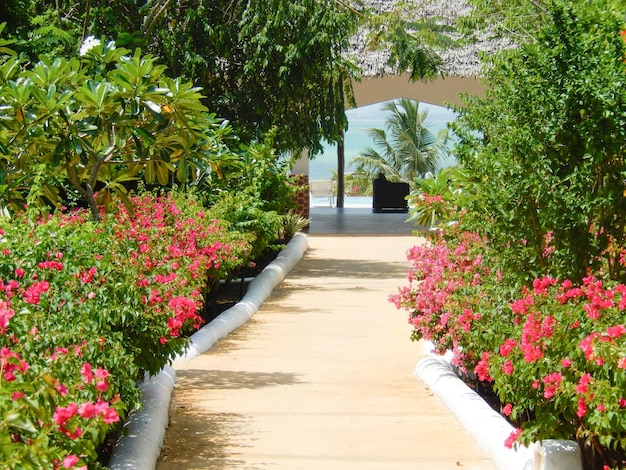 Paysage de printemps avec des fleurs colorées au bord de la mer